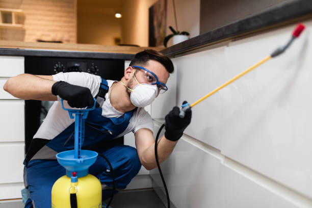 Best Wasp Removal Services  in Lauderdale Lakes, FL