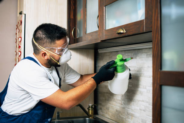 Best Pest Control for Homes  in Lauderdale Lakes, FL