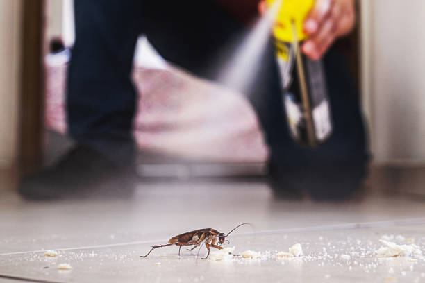 Lauderdale Lakes, FL Pest Control Company
